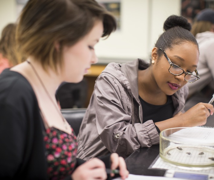 Salem state college admissions essay